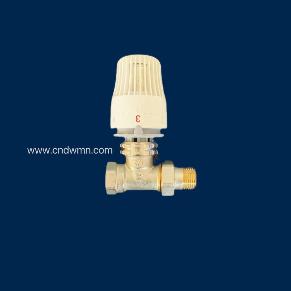 Термостат хаалт, ганцаарчилсан зураг 