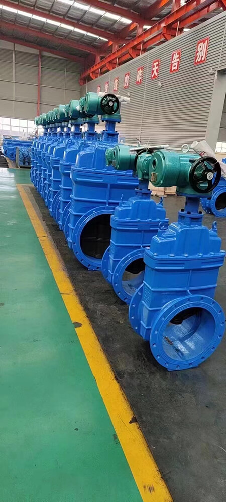 Хөх өнгийн том жижиг олон төрлийн балансын хаалтууд, хамгийн өмнө нь харьцангуй жижиг хоёр хаалтыг байрлуулж зураглав.