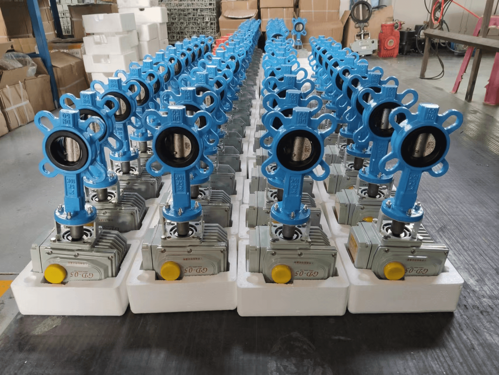 Цэнхэр өнгийн олон төрлийн эрвээхий хаалтыг нэг дор жагсааж авсан зураг.